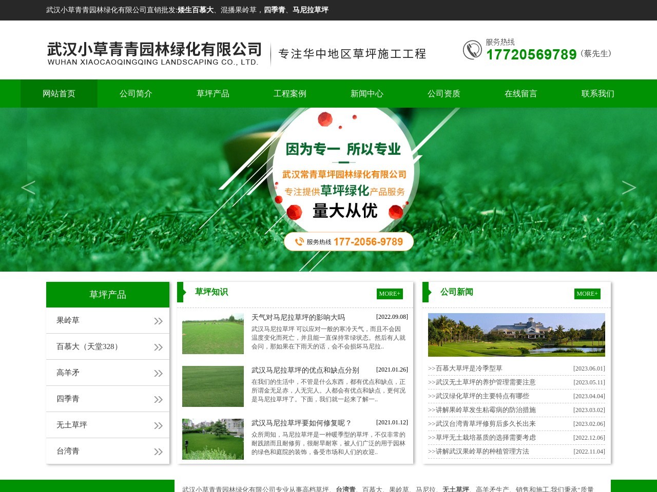 常青草坪