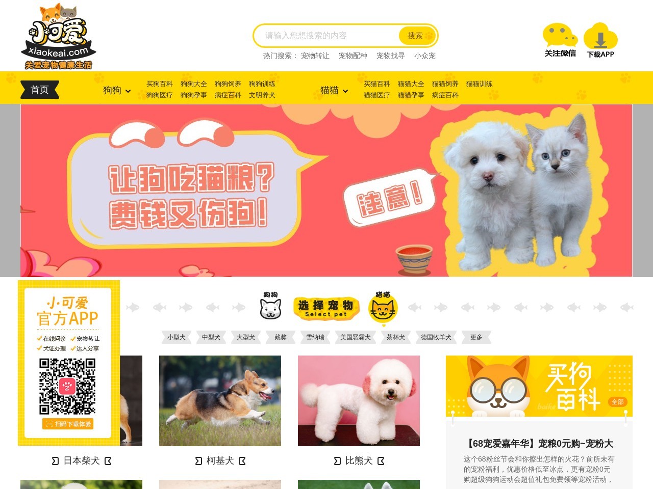 小可爱宠物网